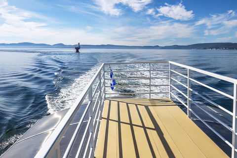 Tadoussac/Charlevoix: VIP Lounge/Upper Deck Whale Watching Charlevoix: VIP Lounge Whale Watching Cruise