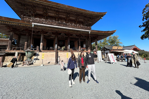 Excursión privada guiada a pie de medio día en YoshinoyamaVisita guiada privada a pie de medio día en Yoshinoyama