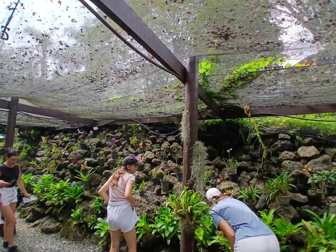 Fiji: Garden of the Sleeping Giant Tour - Image 1