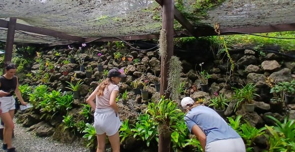 FIJI: Garden of the Sleeping Giant, Nadi Tour