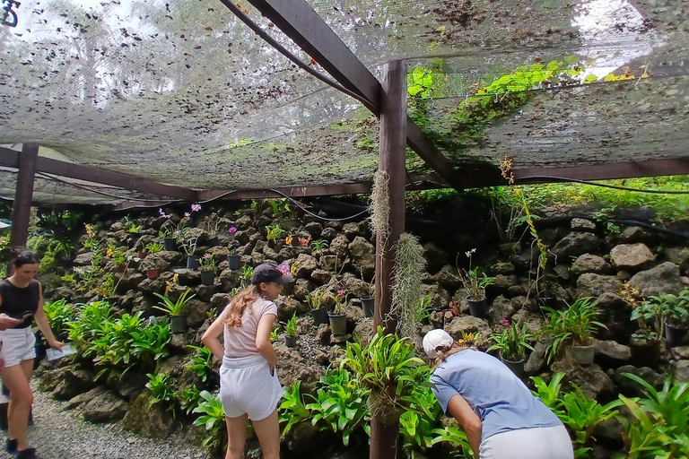 FIJI: Garden of the Sleeping Giant Tour InterContinental/Yatule/Yadua Bay/Shangri-La Pickup