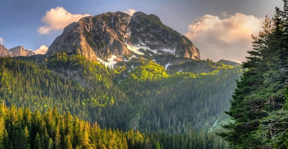 From Tivat: Montenegro Canyons and National Parks Day Trip