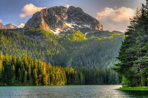 From Tivat: Montenegro Canyons and National Parks Day Trip From Tivat: Black Lake, Durmitor, Djurdjevića Tara Bridge