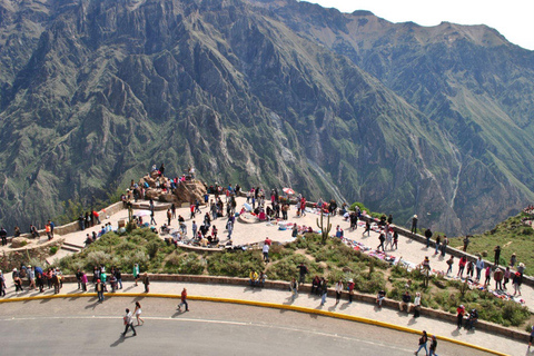 From Arequipa: Tour Colca Canyon 2 Days with End in Puno