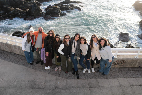 Santiago: Valparaíso & Viña del Mar Guided Day Trip Santiago: Valparaíso Walking Tour + Viña del Mar