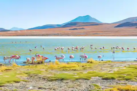 Uyuni Salt Flats and Red Lagoon 3-Days | English in Guide |