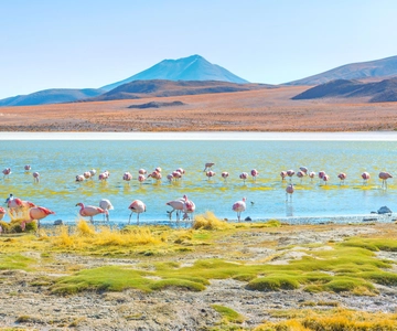 Uyuni Salt Flats and Red Lagoon 3-Days | English in Guide |