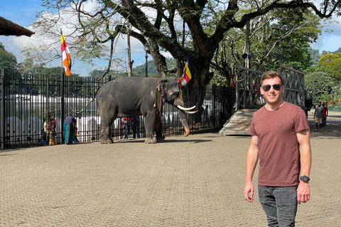 Kandy Pinnawala dagstur från Bentota