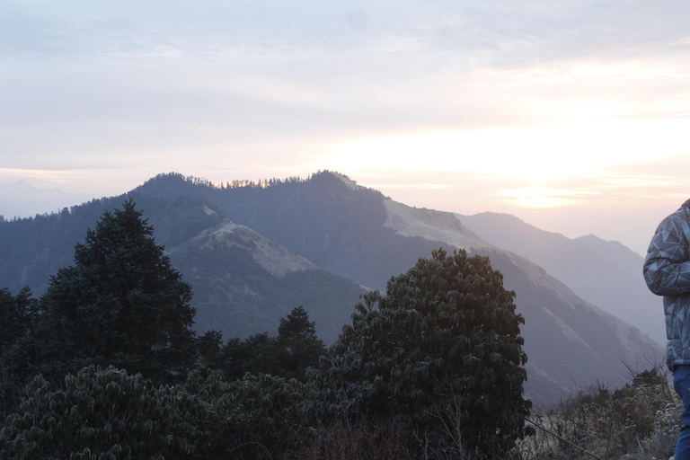 From Pokhara: 2-Day Short Poon Hill Trek