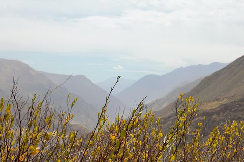 Arequipa: Huaruro Waterfall & Colca Canyon Trekking - 4 Days