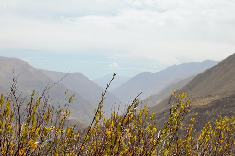 Arequipa: Huaruro Waterfall & Colca Canyon Trekking - 4 Days