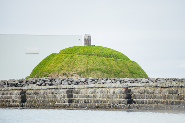 Reykjavik: papegaaiduikers spotten