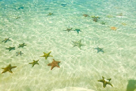 زنجبار: سوبر زانزي ناكوبيندا وجزيرة السجن والمدينة الحجرية