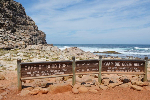 Città del Capo: Tour di un giorno della Penisola del Capo e Penguin Beach