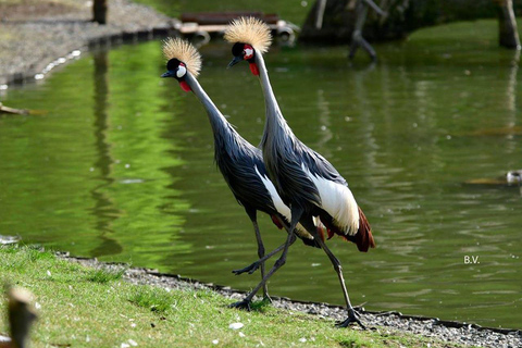 From Batumi: Georgian Amazon & Kolkheti Park Tour