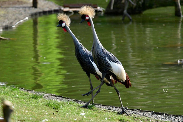 From Batumi: Georgian Amazon & Kolkheti Park Tour