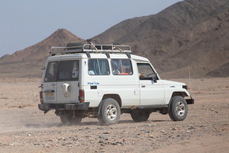 Hurghada: Star Watching Desert Adventure by Jeep with Dinner