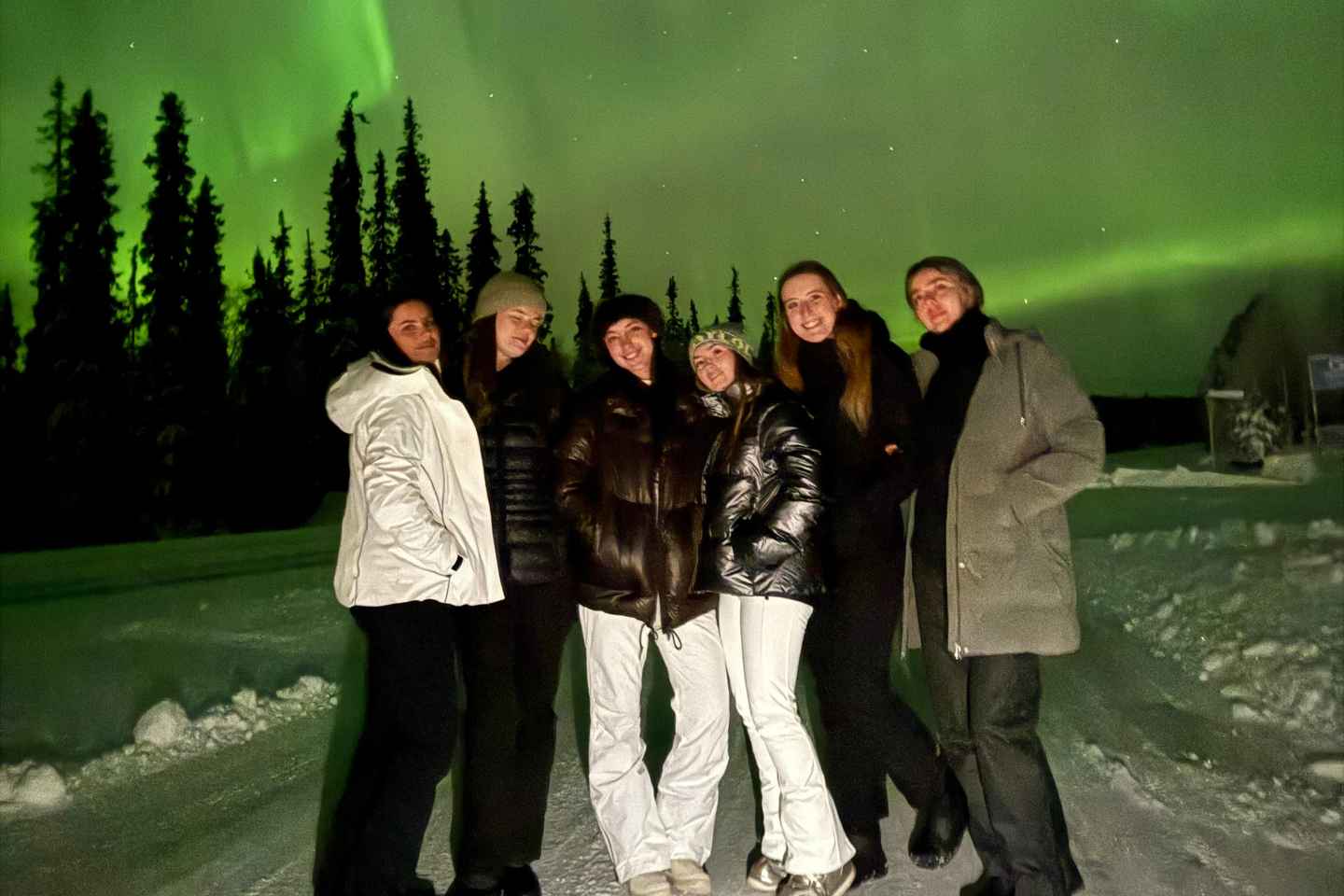 Rovaniemi: Guaranteed Northern Lights Tour