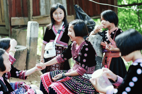 Excursión de medio día a la Aldea Hmong, Doi Suthep y Wat Pha Lat