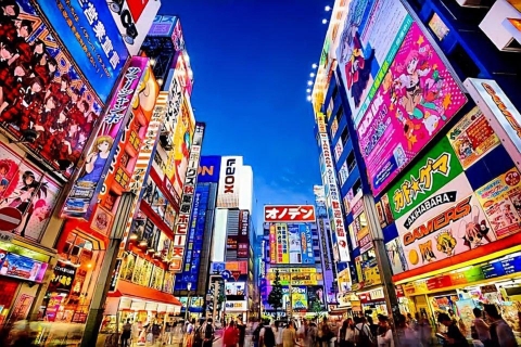 Tokyo full day private tour with English speaking guide