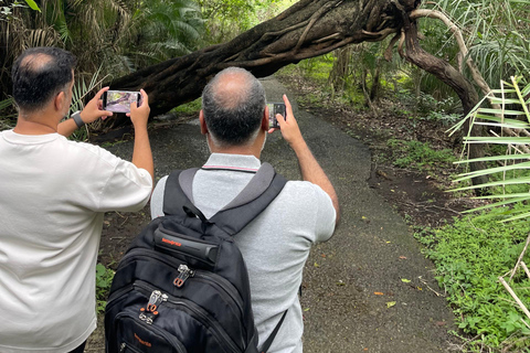 Victoria Falls: Round-Trip Transfer with Hotel Pickup