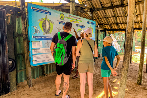 Madu River Boat Safari & Traditional Mask Workshop Visit Pick-up From: Hikkaduwa