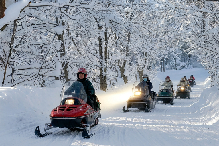 Sapporo: Lake Shikotsu Ice Festival & Lake Toya Day Trip