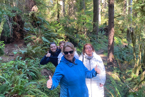 Seattle: Twilight Tour and Olympic National Park