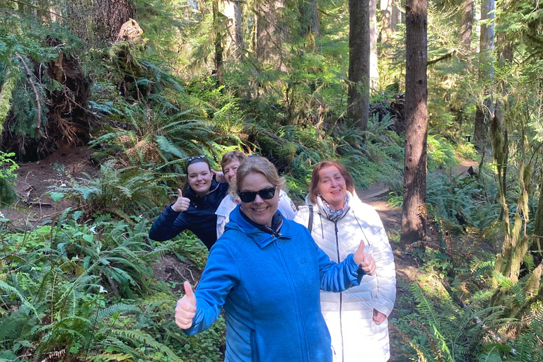 Seattle: Twilight Tour and Olympic National Park