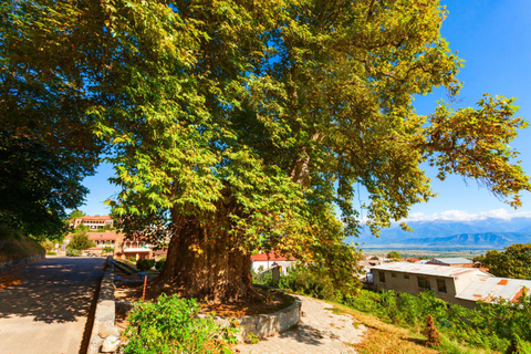 From Tbilisi: Kakheti Wine, Culture & Sighnaghi Group Tour