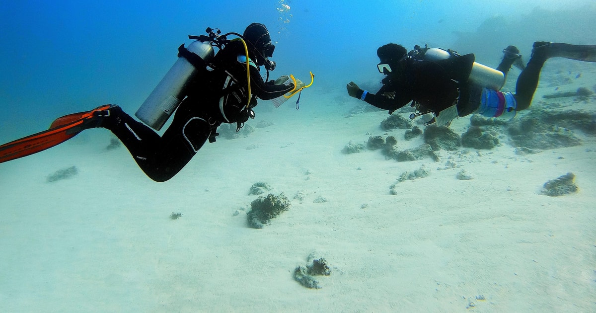 Scuba Diving Experience in Porto Cesareo | GetYourGuide