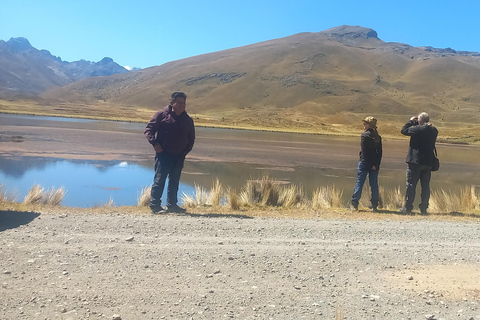 Vanuit Huaraz: Pastoruri gletsjer en Puya Raymondi dagtrip