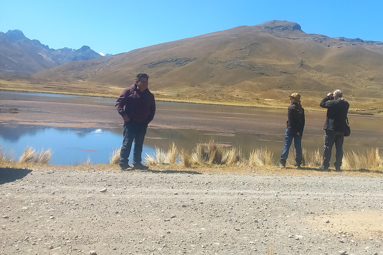 Von Huaraz aus: Tagestour zum Pastoruri-Gletscher und Puya Raymondi