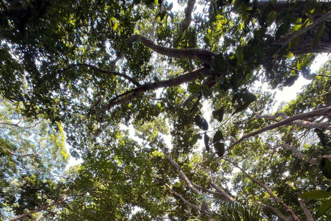 Zanzibar: Spice Farm, Jozani Forest & Salaam Cave Tour Private tour without hotel transfer