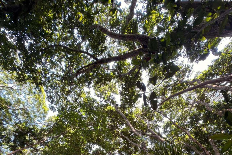 Zanzibar: Spice Farm, Jozani Forest & Salaam Cave Tour Private tour without hotel transfer
