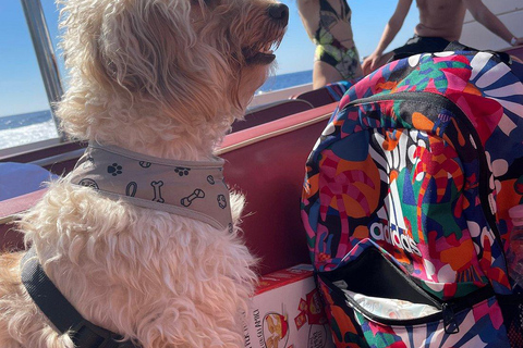 Från Sorrento: båttur till Capri med fri tid på ön