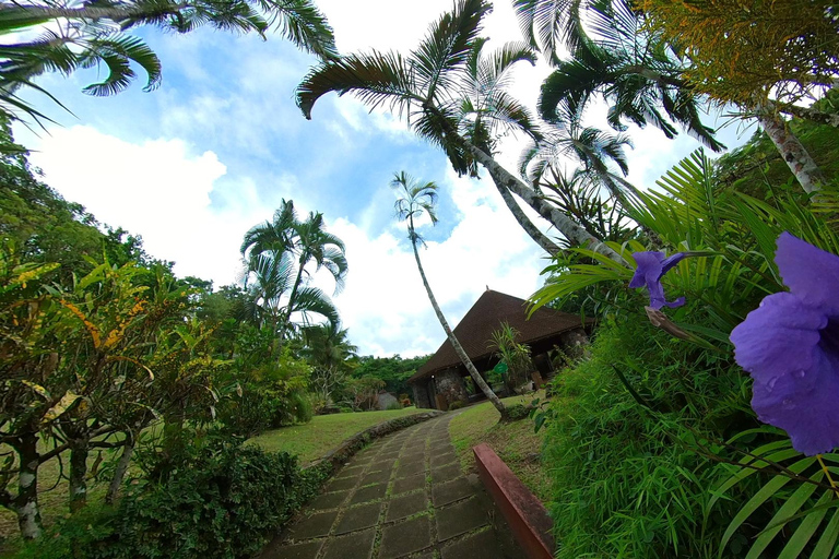 Diamanthalvön : En 1/2 dagstur till minnesmärket längs vikarna