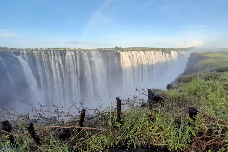 Victoria Falls: Falls tour, Sunset cruise & game drive