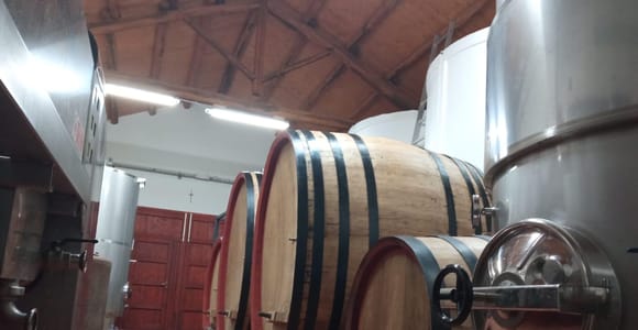 Marsala: Winery Tour and Tasting of Artisan Wines