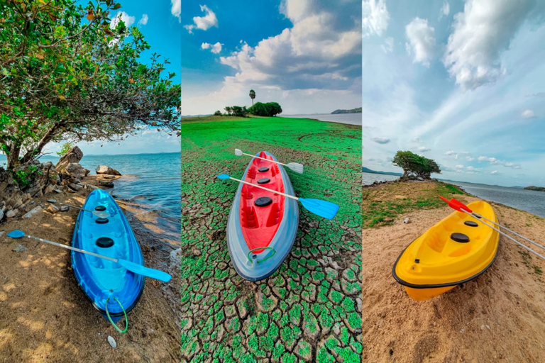 From Sigiriya: Kayaking Through Floating Flowers at Kanthale