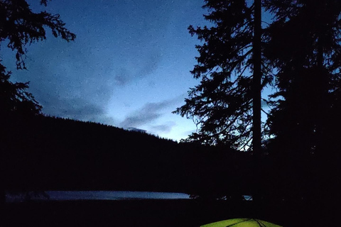 Oslo forest: Overnight Wilderness Experience