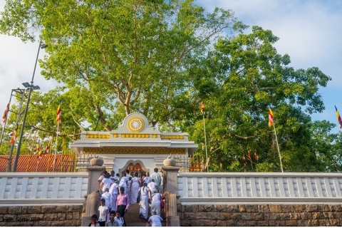 Vanuit Dambulla/Sigiriya: oude stad Anuradhapura op de fiets