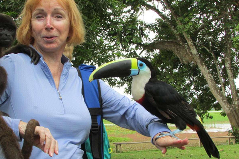 Von Iquitos aus: Ausflug zur Affeninsel (ganztägig)