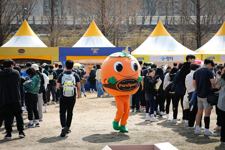 2026 Spring Walk Seoul 7.5K (April 25) [Slot 1: 12PM] Spring Walk, Meet at Namsan Baekbeom Square