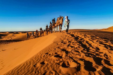 Doha: Sunset Desert Safari, Dune Bashing with dinner at Souq