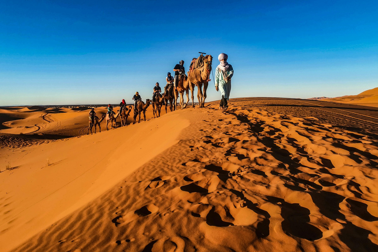 Doha: Sunset Desert Safari, Dune Bashing with dinner at Souq
