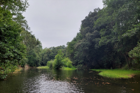 Santander: Guided boat tours of Santander Bay