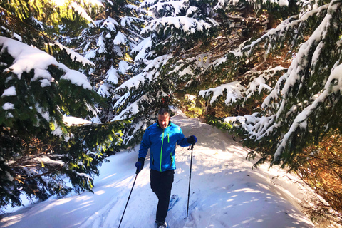 Allgäu: Aventura de senderismo con raquetas de nieve