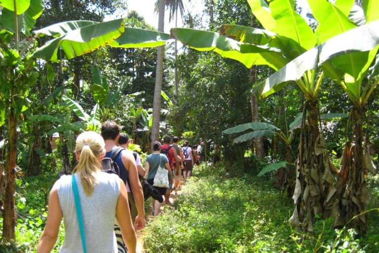 Zanzibar: Stone town city walking & Spice farm walking tour Private Stone town and Spice walking tour