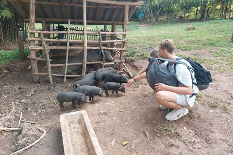 Chiang Mai: 3Days 2Night Trek in Doi Inthanon Area
